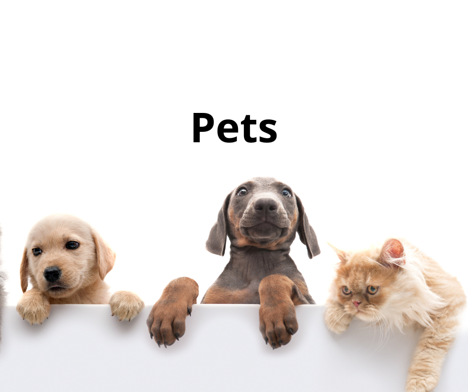 Pets